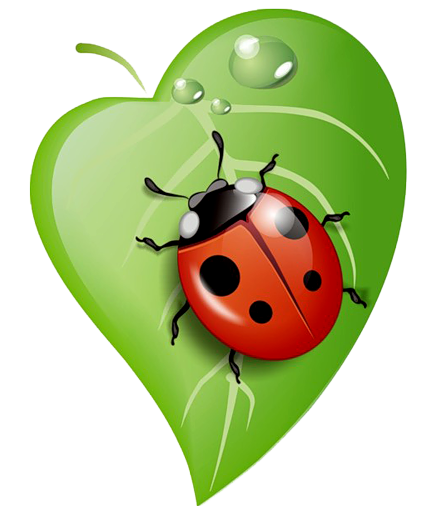0_ad0a6_33923a23_orig.png